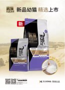 爵加新品幼貓精選上市！