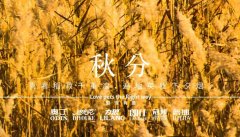 秋分丨晝夜分畫，漸入秋華