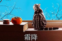 霜降丨縱然霜華盡染，心中美好如初