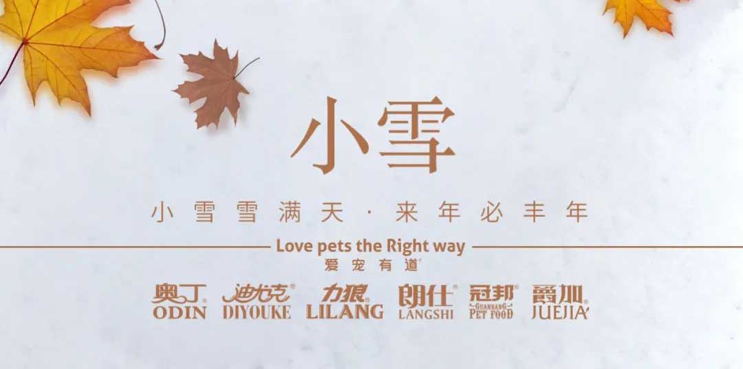 小雪丨天地初寒，歲月安暖